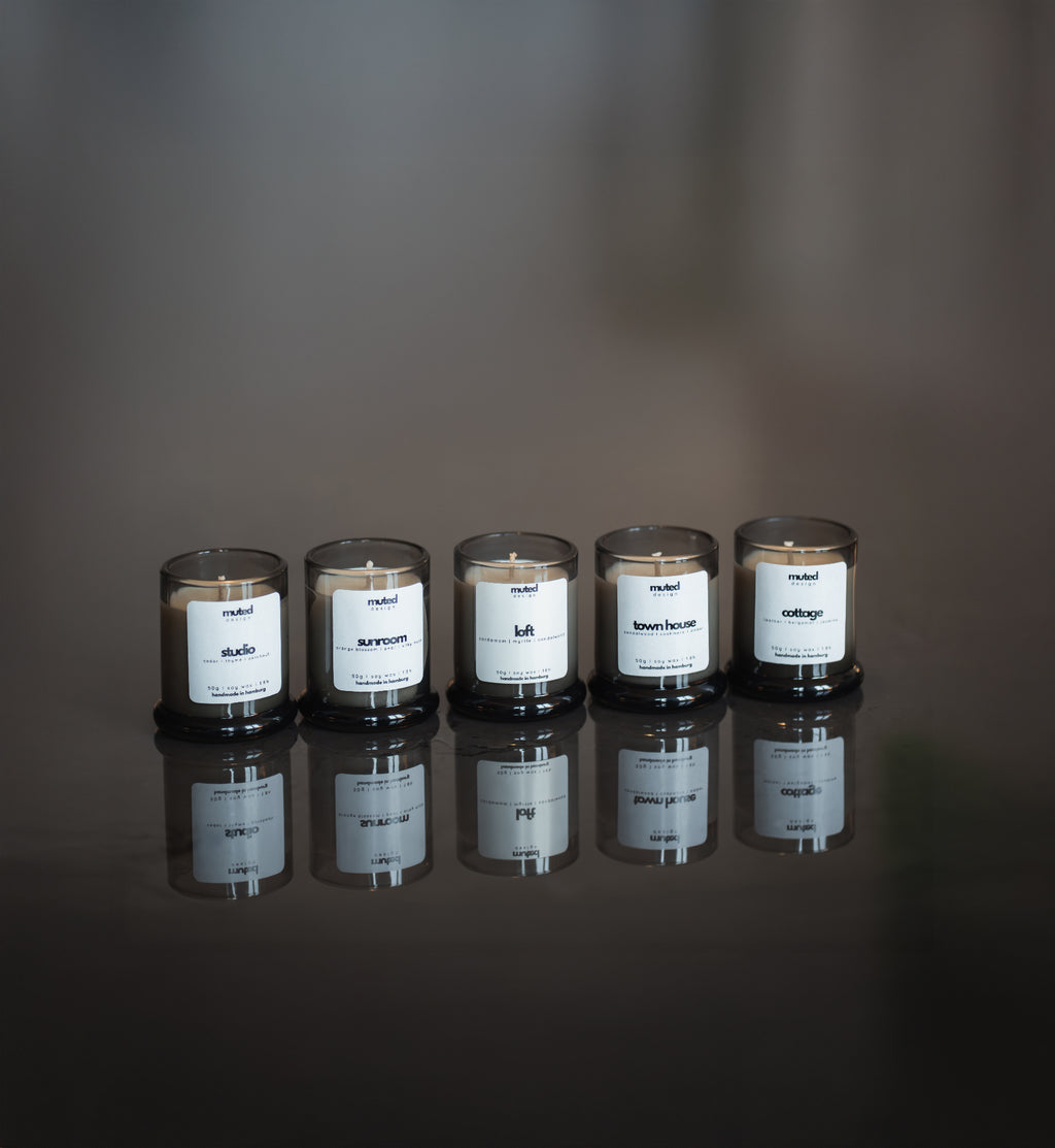 Discovery-Box - 4 x 50g