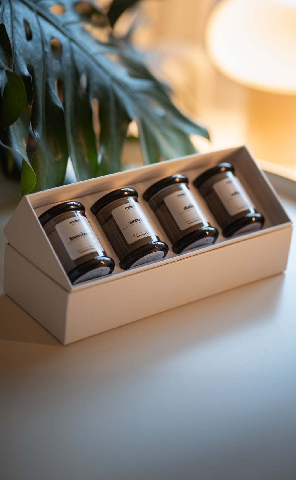 Discovery Box -  4 x 50g