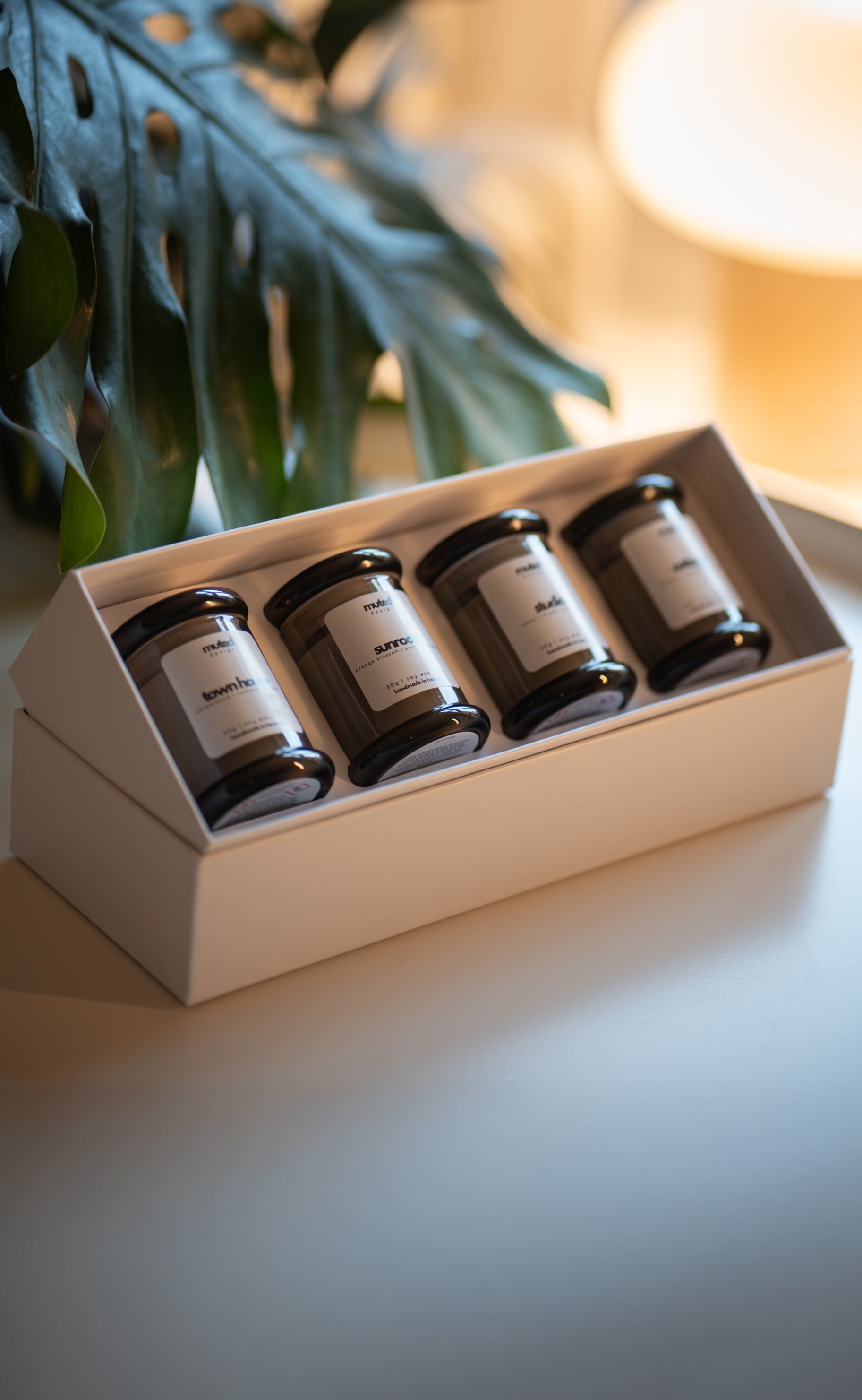 Discovery Box -  4 x 50g